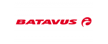Batavus